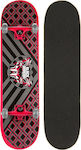 Black Dragon Skateboard Komplett Kurzboard Mehrfarbig