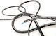 Van Damme Speaker Cable Unterminated 1m ()