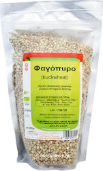 HealthTrade Organic Seeds Buckwheat 500gr