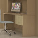 Paros 3 Kids Desk made of Melamine Brown 120x60cm