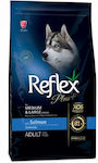 Reflex Plus Adult Medium/Large 15kg Dry Food for Adult Dogs of Medium & Large Breeds with Salmon