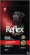 Reflex Plus Adult Medium/Large 15kg Dry Food for Adult Medium & Large Breed Dogs with Lamb and Rice