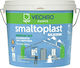 Vechro Smaltoplast Silicone Plastic Acrilyc Ecological Anti-Mildew Paint for Exterior Use White 10lt