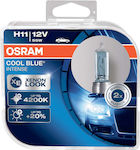 Osram Λάμπες Αυτοκινήτου Cool Blue Intense H11 Αλογόνου 4200K 12V 55W 2τμχ
