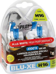 Lampa Blu-Xe Lamps H16 Halogen Natural White 2pcs