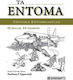 Τα έντομα, Entomology elements