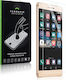 Terrapin Anti-scratch Glass Ascend P8 Terrapin Tempered Glass