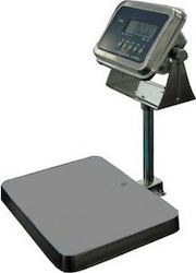 Digi Systems DS-162SS/S-GE-6 Electronic with Maximum Weight Capacity of 6kg and Division 1gr