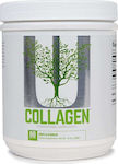 Universal Nutrition Collagen 300gr Unflavoured