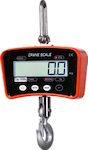 Factory-1000 Electronic Commercial Crane Scale 1000kg/200gr