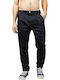 Gianabe Trousers in Regular Fit Navy Blue