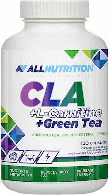 AllNutrition CLA L-Carnitine Green Tea 120 capace