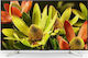 Sony Smart Τηλεόραση 70" 4K UHD LED KD-70XF8305 HDR (2018)
