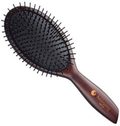 Hairway 08213 Brush Hair for Hair Styling