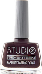 Seventeen Seventeen Studio Rapid Dry Lasting Br...