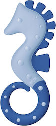 Nuk Ιππόκαμπος Teething Ring made of Plastic for 3 m+ Blue 1pcs