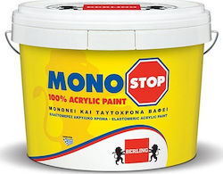 Berling Monostop Plastic Acrilyc Thermal insulation Paint for Exterior Use 11lt