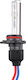 M-Tech Lampen Auto & Motorrad HID Xenon 8000K H10 Xenon 8000K Kaltes Weiß 12V / 24V 35W 1Stück