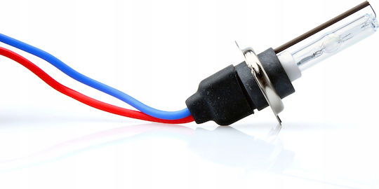 M-Tech Car And Motorcycle Lamp H7 Xenon 12000K Cold White 12V 35W