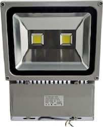 Eurolamp Waterproof LED Floodlight 100W 6500K