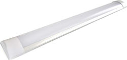 Eurolamp Lumină Sub-Dulap Bucătărie LED 36W Alb rece L120xÎ2.4cm.