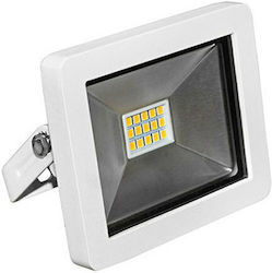 Adeleq Waterproof LED Floodlight 10W 6400K