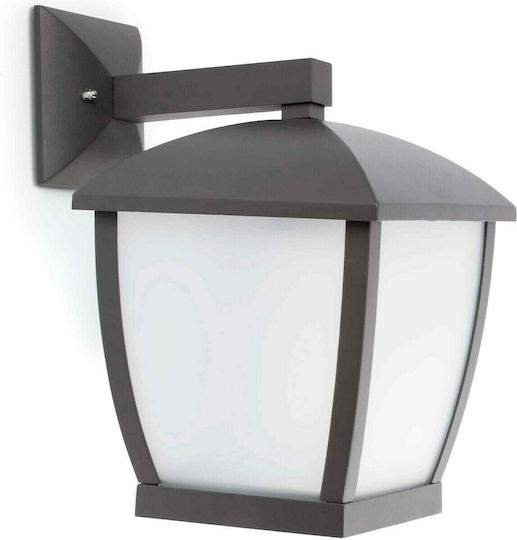Faro Barcelona Wilma Фенер 31x32 см Faro Barcelona Wilma Фенер 31x32 см