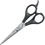 Kiepe Plastic Handle 2118 Hair Cutting Trimming Scissor 5.5"