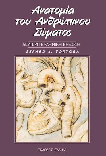 Ανατομία του Ανθρώπινου Σώματος ΕΠΙΤΟΜΟ Ανατομία του Ανθρώπινου Σώματος ΕΠΙΤΟΜΟ
