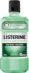 Listerine Teeth & Gum Defence Soft Mint Soluție Bucală împotriva και της Π και της λ και της ά και της κ και της α και της ς και της και της και της 500ml