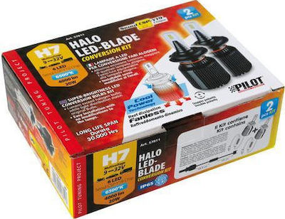 Lampa Λάμπες Αυτοκινήτου & Μοτοσυκλέτας Halo Led H7 Canbus LED 6500K Ψυχρό Λευκό 9-32V 20W 2τμχ