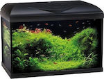 Wave Riviera Basic Fish Aquarium Capacity 65lt with Lighting, Heater, Filter and 60x30x42cm. Black