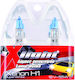 Autoline Lamps Car & Motorcycle Xlight H1 Halog...