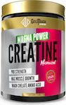 GoldTouch Nutrition Creatine Magna Power με Γεύση Tutti Frutti 400gr