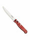 Tramontina Food Knife of Stainless Steel 25cm 21115075