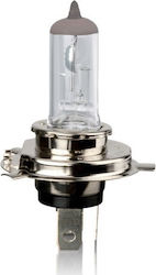 Automax Vecta Lampe H4 Halogen