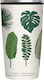 Bamboo Botanic Glass Thermos Stainless Steel White 420ml