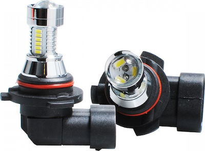 M-Tech Lămpi Autoturismului & Motocicletei HB3-9005 LED 6000K Alb rece 12V 6W 1buc