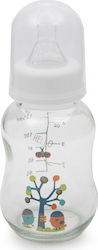 Cangaroo Glasflasche mit Silikonsauger für 0+, 0+ m, Monate 120ml 1Stück