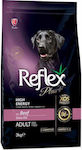 Reflex Plus High Energy 15kg Dry Food for Adult Dogs of Medium & Large Breeds with Meat