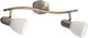 Rabalux Double Spot with Socket E14 in Bronze Color