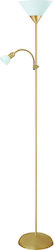 Rabalux Action Lampă de Podea Î178cm. Cupru Rabalux Action Lampă de Podea Î178cm. Cupru