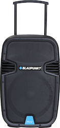 Blaupunkt Karaoke-Lautsprecher PA12 in Schwarz Farbe