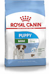 Royal Canin Mini Puppy 2kg Ξηρά Τροφή για Κουτάβια Μικρόσωμων Φυλών με Καλαμπόκι, Πουλερικά και Ρύζι