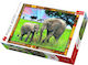 Puzzle Savannah 2D 3000 Κομμάτια