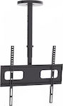 Focus Mount CMS02-44 Βάση Τηλεόρασης Οροφής με Βραχίονα έως 60" και 45kg