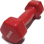 Vinyl Hexagon Dumbbell 1 x 2kg