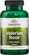 Swanson Valerian Root 100 φυτικές κάψουλες