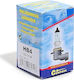 Compass Lamps Car HB4-9006 Halogen 12V 51W 1pcs