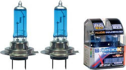 Xtec HID SuperWhite Lampen H7 Halogen Naturweiß 2Stück
